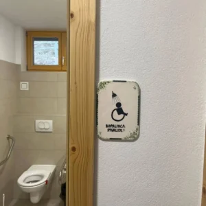 Pravica do dostopnosti