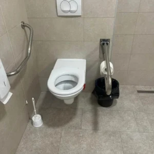 Pravica do dostopnosti