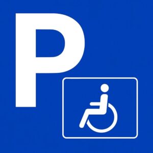 Pravica do dostopnosti