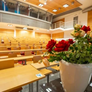 Pravica do dostopnosti