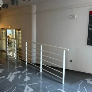 Pravica do dostopnosti